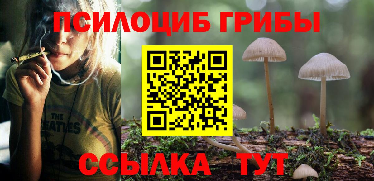 Галлюциногенные грибы прущие грибы  Вход с VPN  Сокол  Псилоцибиновые грибы прущие грибы 